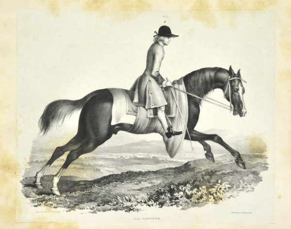 J.. A comparative view of the form and character of the English racer and saddle-horse during the last and present centuries.
