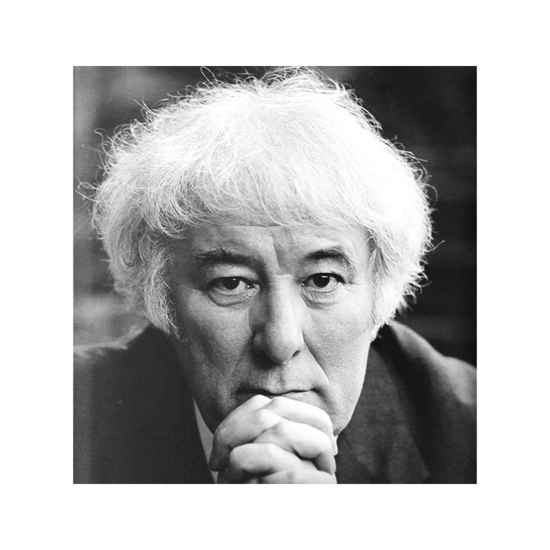 Seamus Heaney Signed First Editions